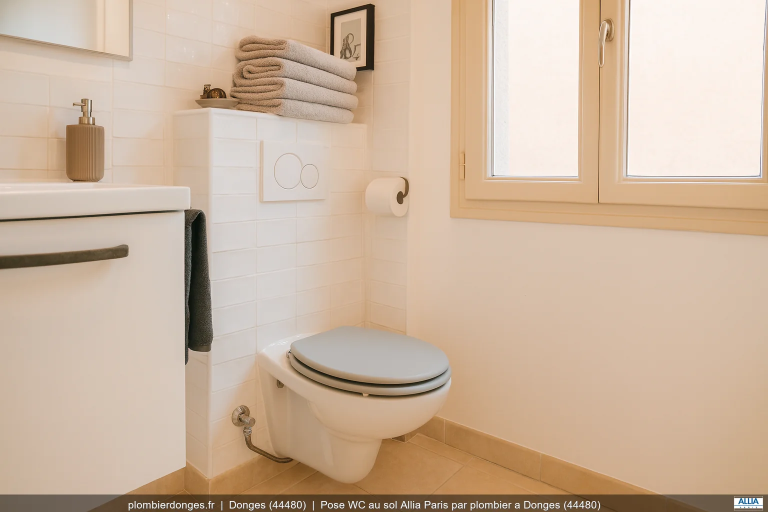 Pose WC au sol Allia Paris par plombier a Donges (44480)